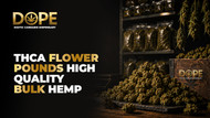 THCA Flower Pounds High Quality Bulk Hemp