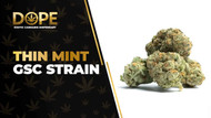 Thin Mint GSC Strain Review: Minty & Potent Hybrid