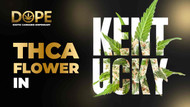 The Best THCA Flower in Kentucky | Top Kentucky THCA Strains 2025 The Best THCA Flower in Kentucky | Top Kentucky THCA Strains 2025