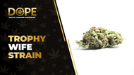 Trophy Wife Strain Review: Flavour, Effects & Genetics
