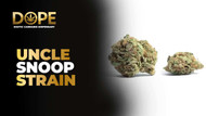 Uncle Snoop Strain Review | Flavor, Effects, & Grow Guide