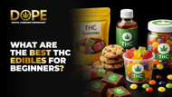 What are the best THC edibles for beginners?