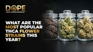 What are the most popular THCA flower strains this year?