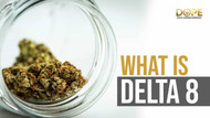 What Is Delta-8-THC? Everything You Need to Know What Is Delta-8-THC? Everything You Need to Know