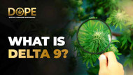 What Is Delta-9 THC? Effects, Benefits, and Risks Explained