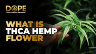 What is Hemp Flower? Benefits, Uses & Key Differences