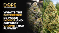 What’s the difference between indoor and outdoor grown THCA flower?