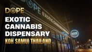 DOPE Exotic Cannabis Dispensary Koh Samui Thailand 