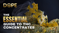 THC Concentrates Guide: Benefits, Uses, and Potency Levels