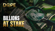 Billions at Stake: How Online Cannabis Is Changing Retail