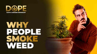 Why Do People Smoke Weed? 