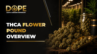 THCA Flower Pound Overview