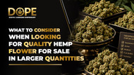 What To Consider When Looking For Quality Hemp Flower For Sale In Larger Quantities