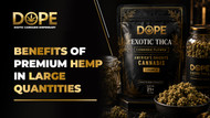 Benefits of Premium Hemp In Large Quantities