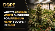 What to Consider When Shopping for Premium Hemp Flower in Bulk
