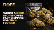 Which online stores offer fast shipping for THCA flower