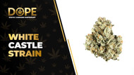 White Castle Strain: Effects, Flavor & THCA Flower