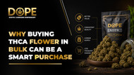 Why Buying THCA Flower in Bulk Can be a Smart Purchase