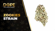 Zookies Strain Review: Flavor, Effects & Growing Guide