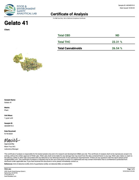 Gelato 41 Strain Indoor THCA Flower - OZ Gelato 41 Strain Indoor THCA Flower - OZ