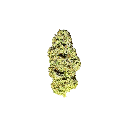 Gelato 41 Strain Indoor THCA Flower - OZ Gelato 41 Strain Indoor THCA Flower - OZ