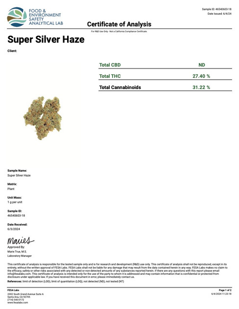 Super Silver Haze Strain Indoor THCA Flower - OZ Super Silver Haze Strain Indoor THCA Flower - OZ