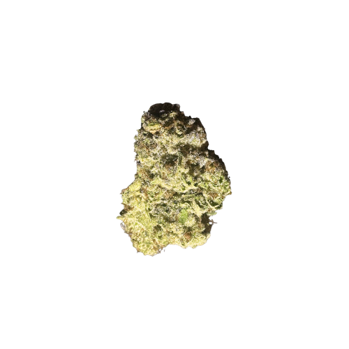 Super Silver Haze Strain Indoor THCA Flower - OZ Super Silver Haze Strain Indoor THCA Flower - OZ