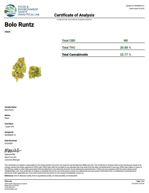 COA of Bolo Runtz Strain COA of Bolo Runtz Strain