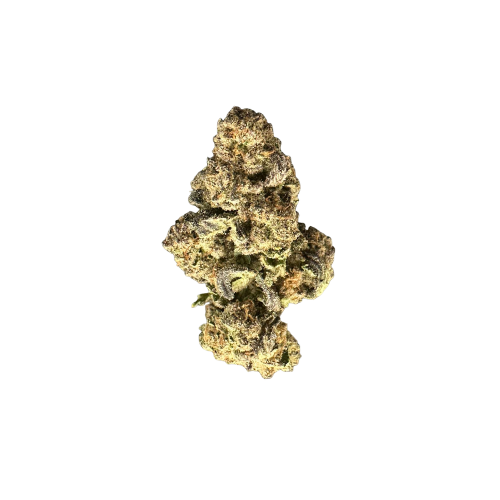 Gelato 25 x Dosido Strain - Exotic THCA Flower by Dope png
gelato dosi strain