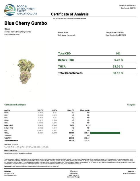 Blue Cherry Gumbo Strain - THCA Flower QP (Ugly Buds)