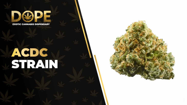 ACDC Strain Review: CBD Effects, Flavor & Grow Guide