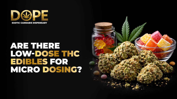 Are there low-dose THC edibles for microdosing?