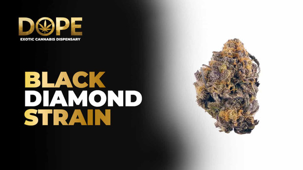 Black Diamond Strain Review | Effects, Flavor & Grow Guide