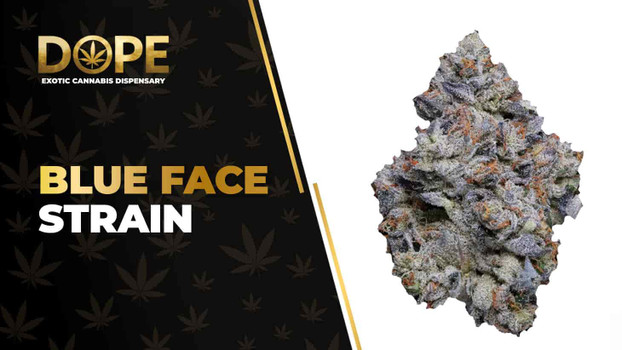 Blue Face Strain Review: Berry Flavour & Potent Effects