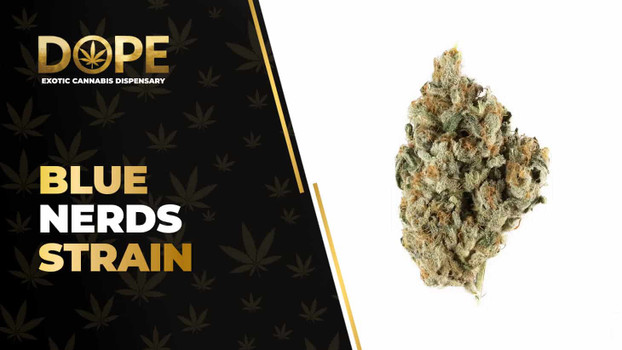 Blue Nerds Strain Review: Sweet Flavour & Hybrid Effects