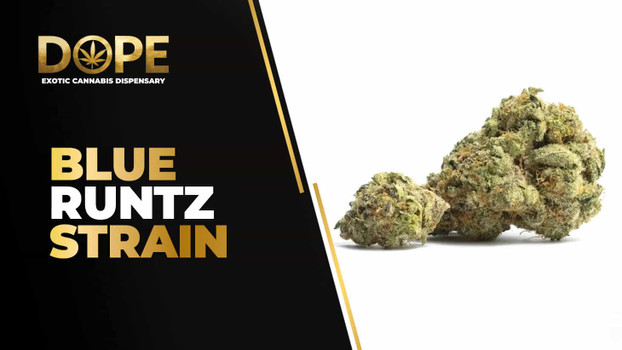 Blue Runtz Strain Review | Sweet Berry Flavor & Effects