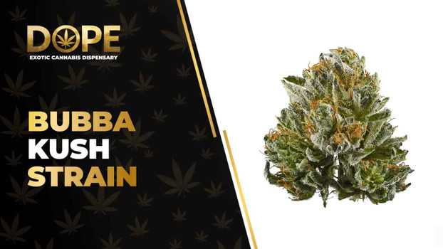 Bubba Kush Strain Review: Flavor, Effects & THC Guide