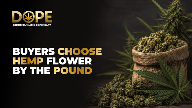Buyers Choose Hemp Flower by the Pound