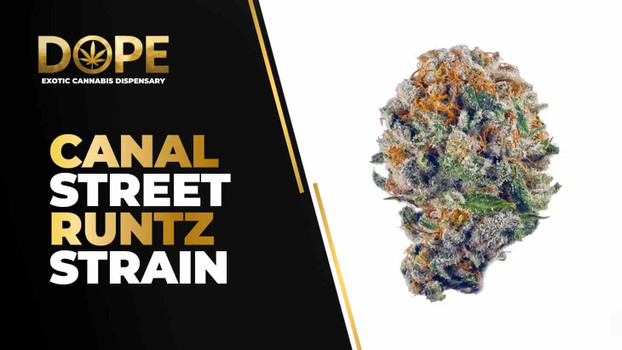 Canal Street Runtz Strain Review | Candy Flavor & Effects