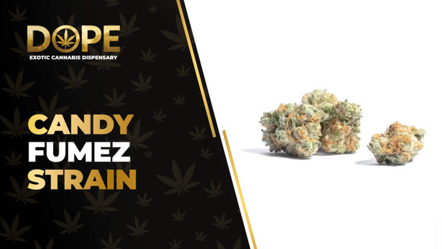 Candy Fumez Strain Review: Flavor, Effects & Potency