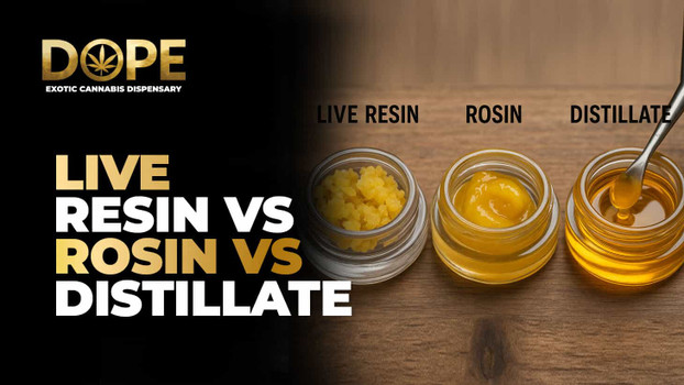 Cannabis Live Resin vs. Live Rosin vs. Distillate