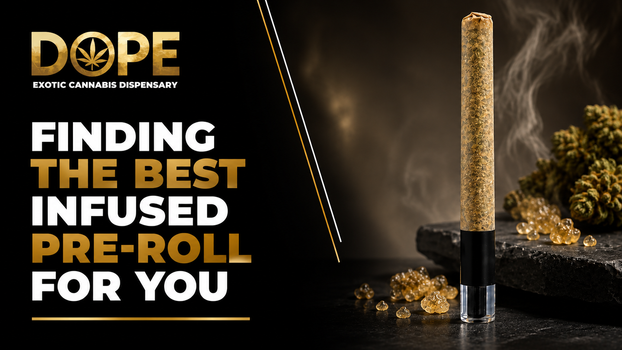 Finding the Best Infused Pre-Roll