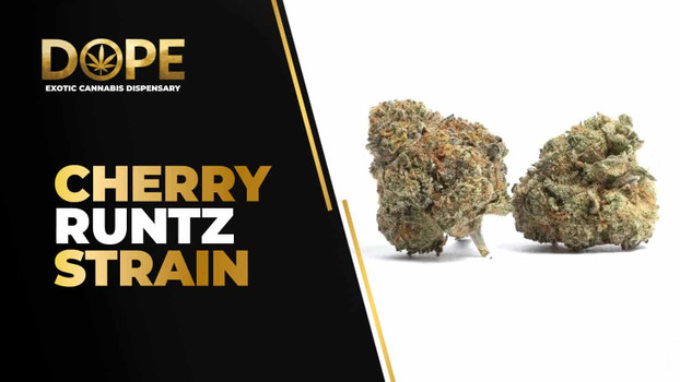Cherry Runtz Strain Review | Sweet Flavor & Effects