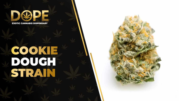 Cookie Dough Strain Review: Flavor, Effects & Genetics
