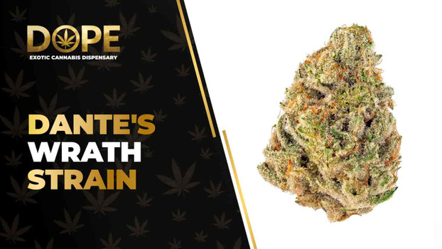 Dante's Wrath Strain Review: Potent Hybrid Effects Guide