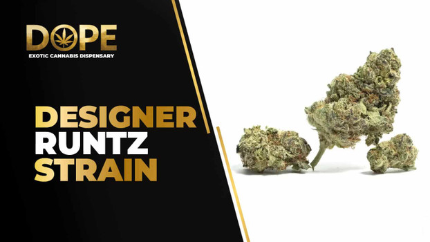 Designer Runtz Strain Review | Candy Gas & Effects