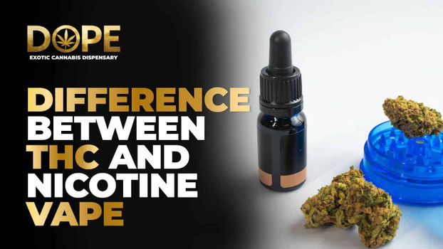 Difference Between THC and Nicotine Vape: Risks & Facts