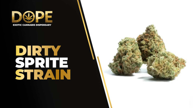 Dirty Sprite Strain Review | Grape Flavor & Effects