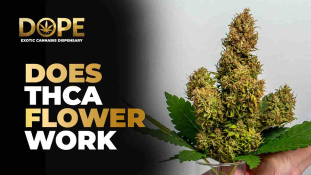 Does THCA Flower Work? Effects, High & Legal Guide 2025