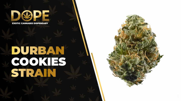 Durban Cookies Strain Review: Flavor, Effects & THC